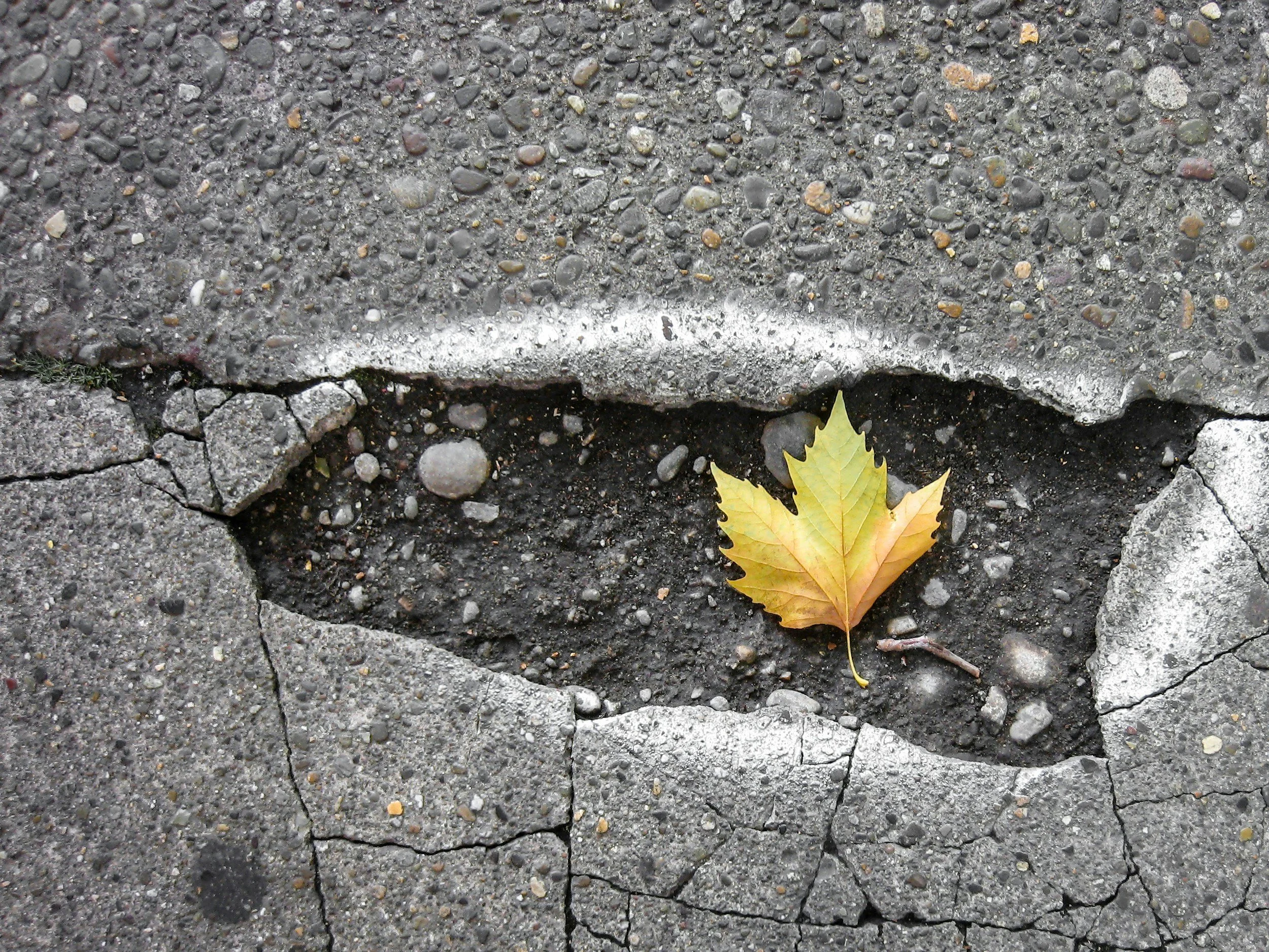 How Reporting Poor Road Conditions Supports Accident Cases | yourlawyeralex.com