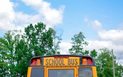 Addressing Student-Caused Injuries Sustained At School
