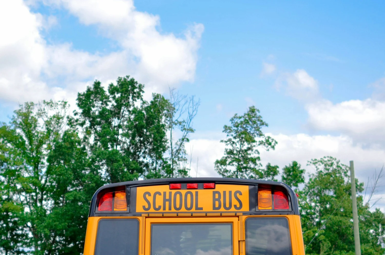 Addressing Student-Caused Injuries Sustained At School | yourlawyeralex.com