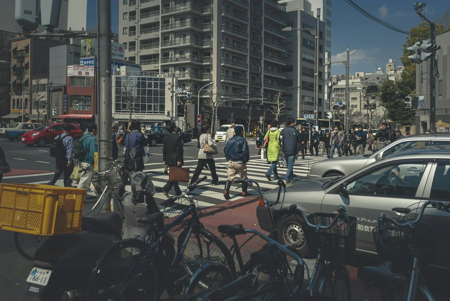 You Witnessed a Hit-and-Run, What Do You Do? | yourlawyeralex.com